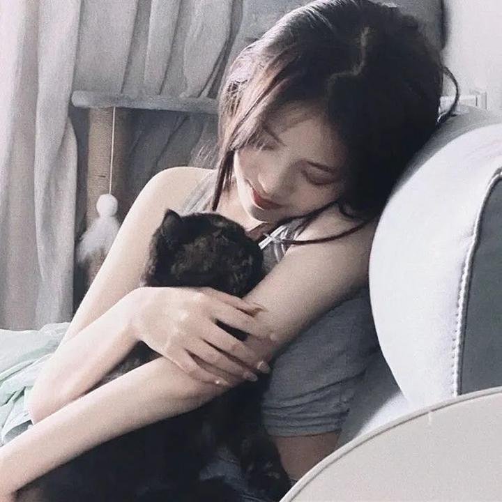 金装律师第三季